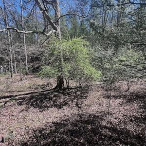 Photo #17 of Off Peaceful Valley Rd, New Castle, VA 0.8 acres