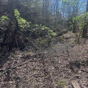 Photo #19 of Off Peaceful Valley Rd, New Castle, VA 0.8 acres