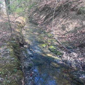 Photo #21 of Off Peaceful Valley Rd, New Castle, VA 0.8 acres