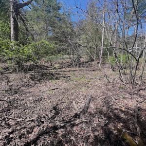 Photo #22 of Off Peaceful Valley Rd, New Castle, VA 0.8 acres