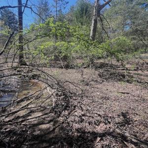 Photo #23 of Off Peaceful Valley Rd, New Castle, VA 0.8 acres