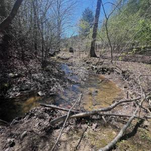 Photo #24 of Off Peaceful Valley Rd, New Castle, VA 0.8 acres