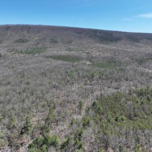 Photo #6 of Off Peaceful Valley Rd, New Castle, VA 0.8 acres
