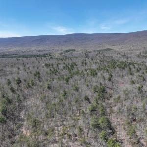Photo #7 of Off Peaceful Valley Rd, New Castle, VA 0.8 acres