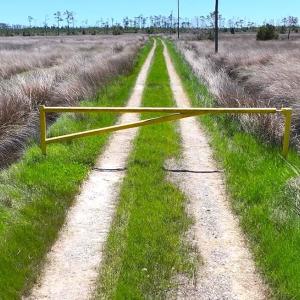 Photo #2 of 501 Drawbridge Rd, Hobucken, NC 461.0 acres