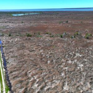 Photo #3 of 501 Drawbridge Rd, Hobucken, NC 461.0 acres