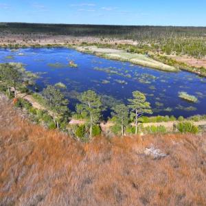 Photo #4 of 501 Drawbridge Rd, Hobucken, NC 461.0 acres