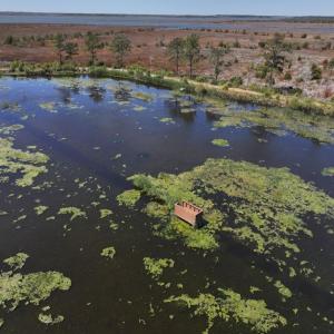 Photo #6 of 501 Drawbridge Rd, Hobucken, NC 461.0 acres