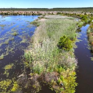 Photo #7 of 501 Drawbridge Rd, Hobucken, NC 461.0 acres