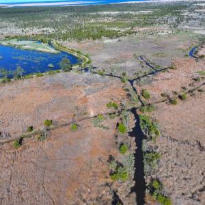 Photo #9 of 501 Drawbridge Rd, Hobucken, NC 461.0 acres