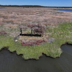 Photo #11 of 501 Drawbridge Rd, Hobucken, NC 461.0 acres