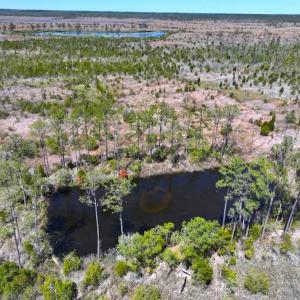 Photo #13 of 501 Drawbridge Rd, Hobucken, NC 461.0 acres