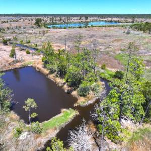 Photo #14 of 501 Drawbridge Rd, Hobucken, NC 461.0 acres
