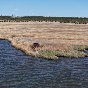 Photo #15 of 501 Drawbridge Rd, Hobucken, NC 461.0 acres