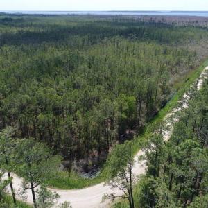 Photo #20 of 501 Drawbridge Rd, Hobucken, NC 461.0 acres