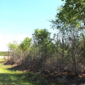Photo #10 of 241 Joe Phelps Road, Aulander, NC 1.0 acres