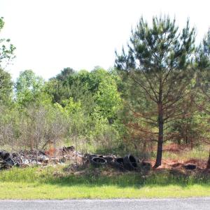 Photo #11 of 241 Joe Phelps Road, Aulander, NC 1.0 acres