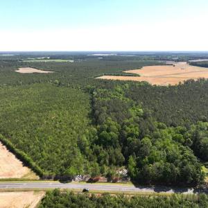 Photo #1 of 241 Joe Phelps Road, Aulander, NC 1.0 acres