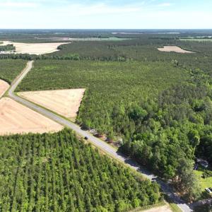 Photo #4 of 241 Joe Phelps Road, Aulander, NC 1.0 acres
