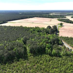 Photo #5 of 241 Joe Phelps Road, Aulander, NC 1.0 acres