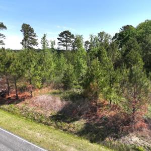 Photo #6 of 241 Joe Phelps Road, Aulander, NC 1.0 acres