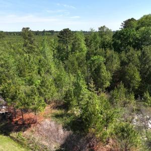 Photo #7 of 241 Joe Phelps Road, Aulander, NC 1.0 acres