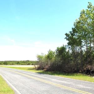 Photo #8 of 241 Joe Phelps Road, Aulander, NC 1.0 acres