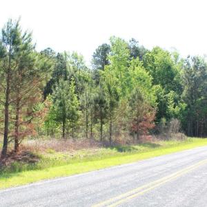 Photo #9 of 241 Joe Phelps Road, Aulander, NC 1.0 acres