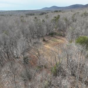 Photo #1 of Off Yorkshire Drive, Sandy Level, VA 20.0 acres