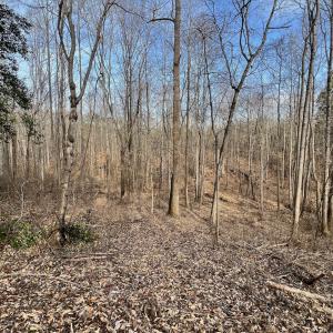 Photo #13 of Off Yorkshire Drive, Sandy Level, VA 20.0 acres