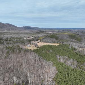 Photo #14 of Off Yorkshire Drive, Sandy Level, VA 20.0 acres