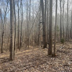 Photo #16 of Off Yorkshire Drive, Sandy Level, VA 20.0 acres
