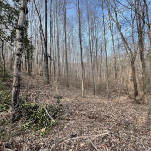 Photo #18 of Off Yorkshire Drive, Sandy Level, VA 20.0 acres