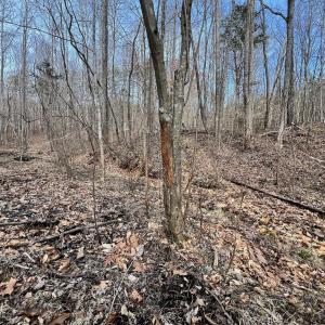 Photo #3 of Off Yorkshire Drive, Sandy Level, VA 20.0 acres