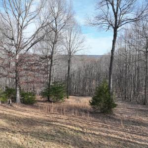 Photo #5 of Off Yorkshire Drive, Sandy Level, VA 20.0 acres