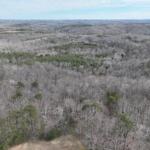 Photo #7 of Off Yorkshire Drive, Sandy Level, VA 20.0 acres