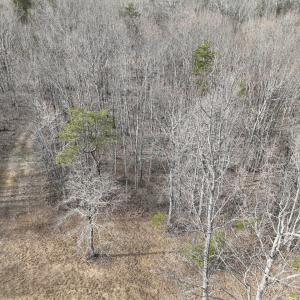 Photo #9 of Off Yorkshire Drive, Sandy Level, VA 20.0 acres