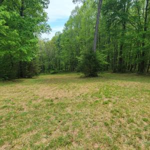 Photo #24 of Off Yorkshire Drive, Sandy Level, VA 20.0 acres