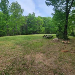 Photo #25 of Off Yorkshire Drive, Sandy Level, VA 20.0 acres