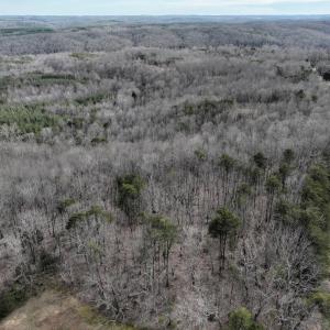 Photo #36 of Off Yorkshire Drive, Sandy Level, VA 20.0 acres