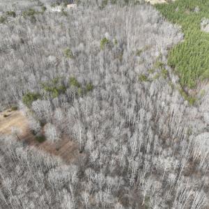 Photo #39 of Off Yorkshire Drive, Sandy Level, VA 20.0 acres