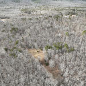 Photo #40 of Off Yorkshire Drive, Sandy Level, VA 20.0 acres