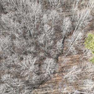 Photo #44 of Off Yorkshire Drive, Sandy Level, VA 20.0 acres