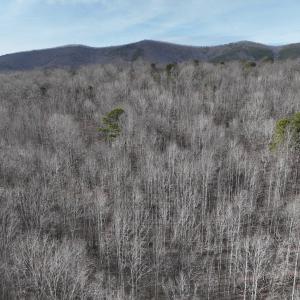 Photo #45 of Off Yorkshire Drive, Sandy Level, VA 20.0 acres