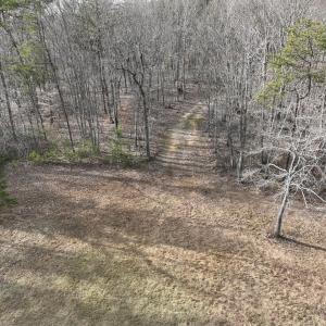 Photo #46 of Off Yorkshire Drive, Sandy Level, VA 20.0 acres