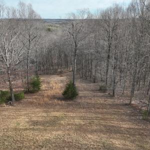Photo #47 of Off Yorkshire Drive, Sandy Level, VA 20.0 acres