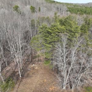 Photo #49 of Off Yorkshire Drive, Sandy Level, VA 20.0 acres