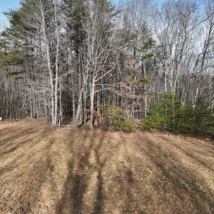 Photo #55 of Off Yorkshire Drive, Sandy Level, VA 20.0 acres