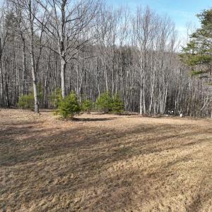 Photo #58 of Off Yorkshire Drive, Sandy Level, VA 20.0 acres