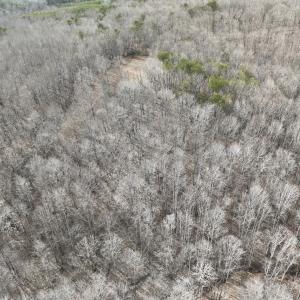 Photo #41 of Off Yorkshire Drive, Sandy Level, VA 20.0 acres